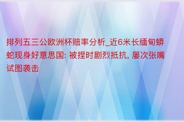 排列五三公欧洲杯赔率分析_近6米长缅甸蟒蛇现身好意思国: 被捏时剧烈抵抗, 屡次张嘴试图袭击