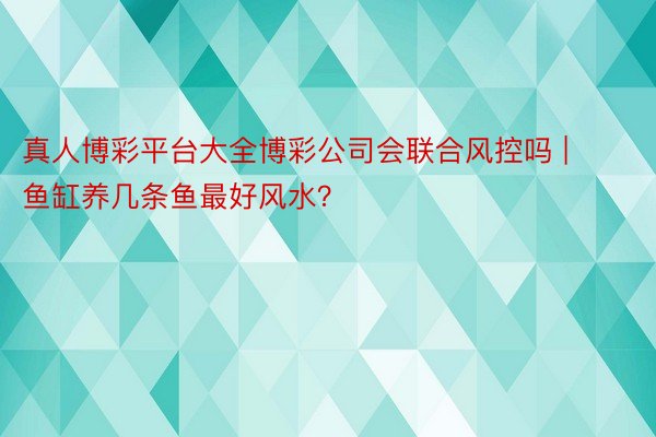 真人博彩平台大全博彩公司会联合风控吗 | 鱼缸养几条鱼最好风水？