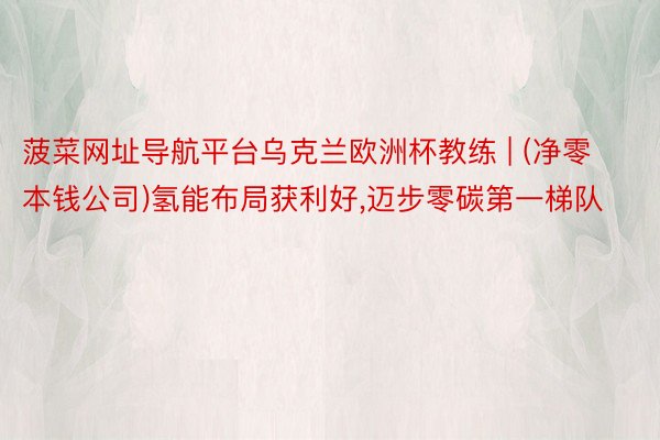 菠菜网址导航平台乌克兰欧洲杯教练 | (净零本钱公司)氢能布局获利好,迈步零碳第一梯队