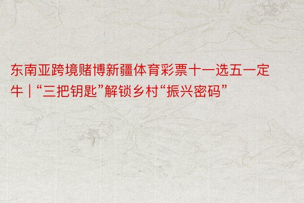 东南亚跨境赌博新疆体育彩票十一选五一定牛 | “三把钥匙”解锁乡村“振兴密码”